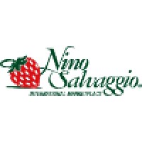 Nino Salvaggio International Marketplace Logo