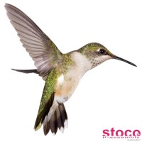 Stoco SA Logo