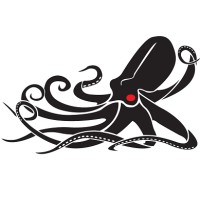 Kraken Robotics Brazil formerly 13 Robotics Logo