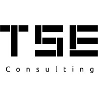 TSE Consulting- Ecommerce & Marketing Digital Logo
