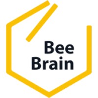 BeeBrain Logo