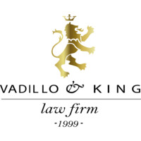 Vadillo & King Intellectual Property Law Firm Logo