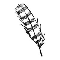 Fäviken Magasinet Logo