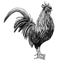 Balboa Santiago Logo