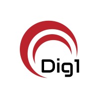 Dig1 Logo