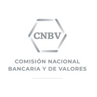 Comisión Nacional Bancaria y de Valores Logo
