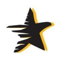 Dark Star Presse Logo