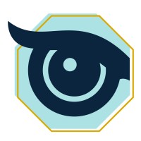 11th Owl Logo