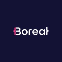 Boreal IT Logo