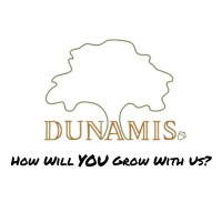 Dunamis Boston Logo