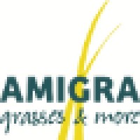 AMIGRA Logo