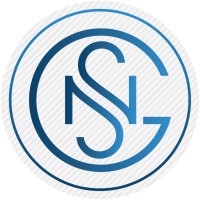 National Strategic Group Logo