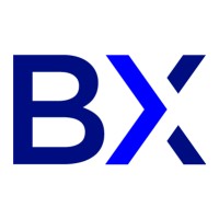 BullMetrix Logo