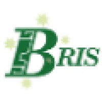 Bris Aluminium Logo