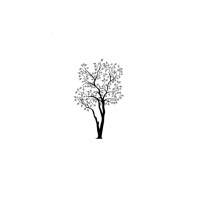 JSP Wood Products Logo