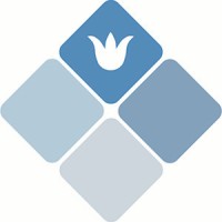 Diamond Natural Beauty Logo