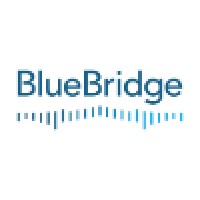 BlueBridge Search Logo