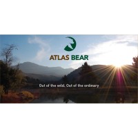 Atlas Bear Logo