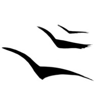 Education Unbound Logo