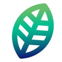 Homegrown Strategy Group Logo