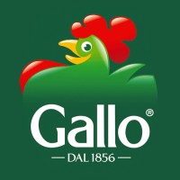 Riso Gallo S.p.A. Logo