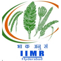 ICAR - Indian Institute of Millets Research Logo