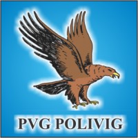 Pvg Polivig Logo