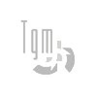 TGM Informatica Ltda. Logo