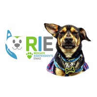 RIE Logo