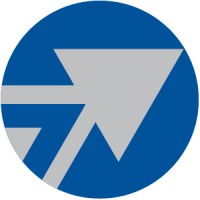 MSM Group, Inc. Logo