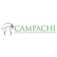 Campachi Distribuidora Logo