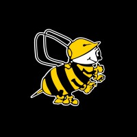 Beesley & Fildes Ltd Logo