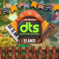 DTS DISTRIBUIDORA DE TECNOLOGIA EM SEGURANÇA Logo