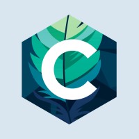 CONSET Consultoria Logo