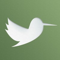 Suave Fragrance Logo