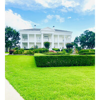 Lone Star Mansion Logo