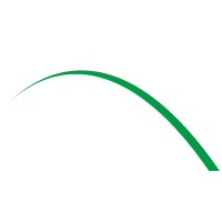 ApexOne Investment Partners Logo