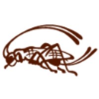 The Artful Cricket Logo
