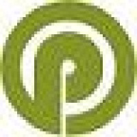 Pragmatic Investments Logo