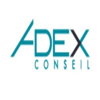 ADEX CONSEIL Cabinet de recrutement en Expertise Comptable en Audit et en comptabilité générale Logo