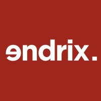 Endrix Logo