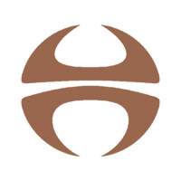 Ferricelli Industria E Comercio De Calcados Logo