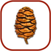 Sequoia Ecological Consulting Logo