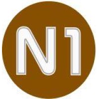 N1 Sports Logo