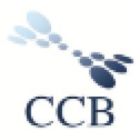 Connect Core Business - Portugal Logo