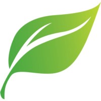 Shadowtek Web Solutions Logo
