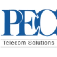 Parwan Electronics Corporation Logo