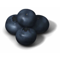 Blueberry Hill Management Consulting Logo