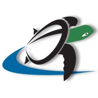 Turn-Turtle Educational Media Logo