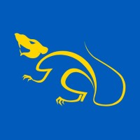 Market Rats Logo